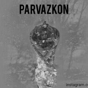 آهنگ پرواز کن از مفرد