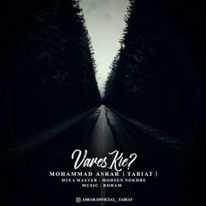 آهنگ وارث کیه از محمد اسرار (طبیعت)