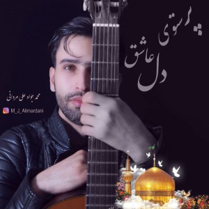 پرستوی عاشق دل از محمد جواد علی مردانی