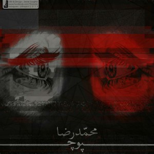آلبوم پوچ از محمدرضا