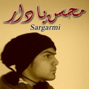 آهنگ جدید محسن پادار به نام سرگرمی