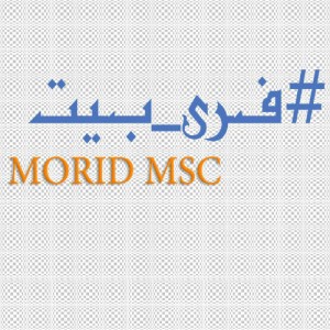 بیت از مرید MSC با سبک گنگ