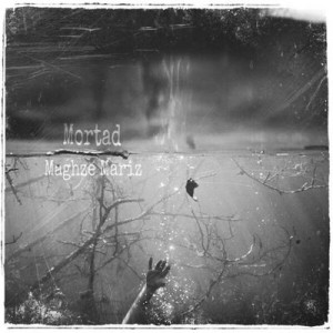 آهنگ جدید مرتد به نام مغز مریض