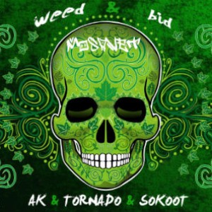 آهنگ جدید از گروه مصوت به نام وید و بید