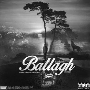 آهنگ باتلاق از نسخ