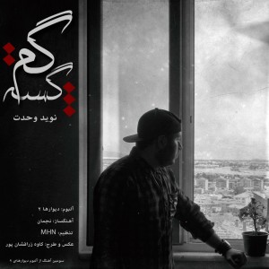 آهنگ گمگشته از نوید وحدت