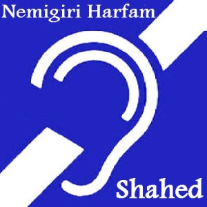 آهنگ جدید شاهد به نام نمیگیری حرفام