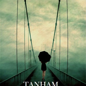 آهنگ جدید پدرام راکب به نام تنهام