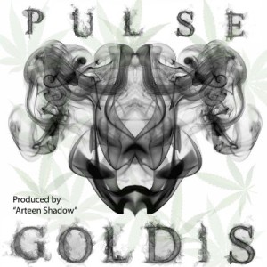 آهنگ جدید سروش پالس به نام گلدیس