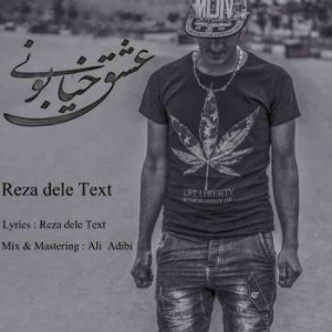 آهنگ عشق خیابونی از رضا دل تکست