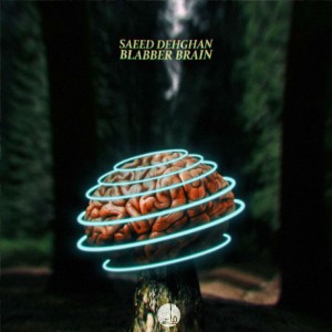 آلبوم اینسترومنتال BLABBER BRAIN از سعید دهقان
