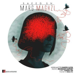 آهنگ مرگ مغزی از سعید Sn