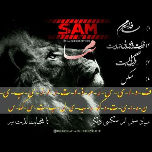 آلبوم سام از سام
