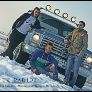 آهنگ جدید شاهین صالحی به نام تو پریدی