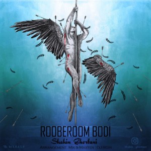 آهنگ رو به روم بودی از شاهین قربانی