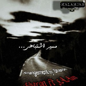 آهنگ جدید شارون و سام به نام مسیر اشتباهی