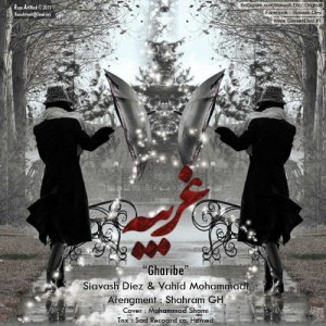 آهنگ غریبه از سیاوش دی از و وحید محمدی