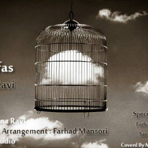 آهنگ جدید سینا راوی به نام قفس