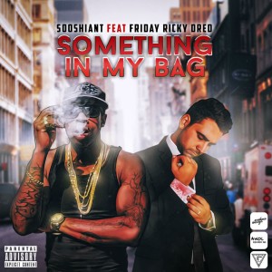 Something In My Bag از سوشیانت و Ricky Dred