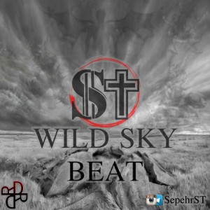 بیت Wild Sky از ST