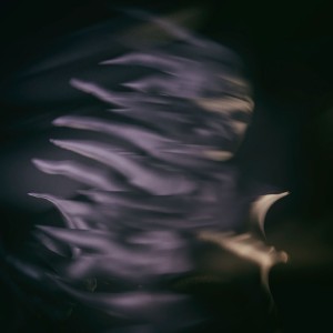 آهنگ نیاز از تس