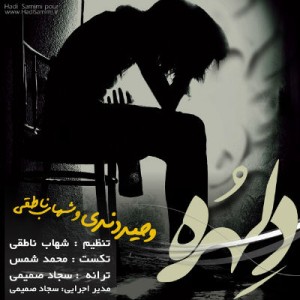 آهنگ جدید وحید دندی و شهاب ناطقی بنام دلهره