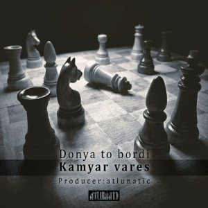 آهنگ دنیا تو بردی از وارث