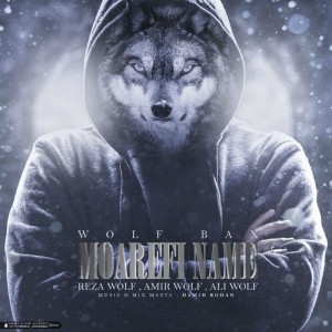 آهنگ معرفی نامه از ولف بکس