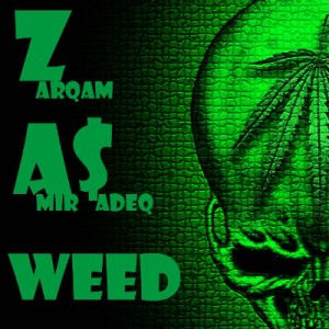 آهنگ جدید ضرغام و امیرصادق به نام وید