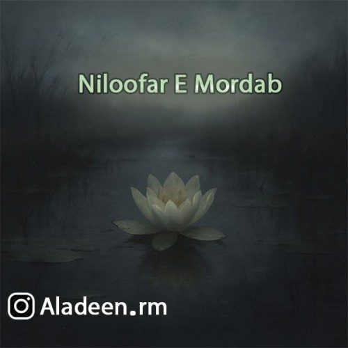 آهنگ نیلوفر مرداب از علا آهنگ نیلوفر مرداب از علا