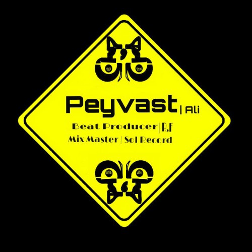 آهنگ هرج و مرج از علی (گروه پیوست)