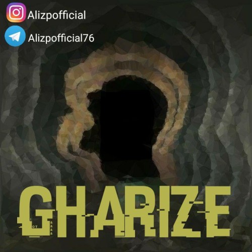آهنگ غریزه از علی زد پی
