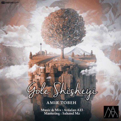 آهنگ گل شیشه ای از امیر توبه