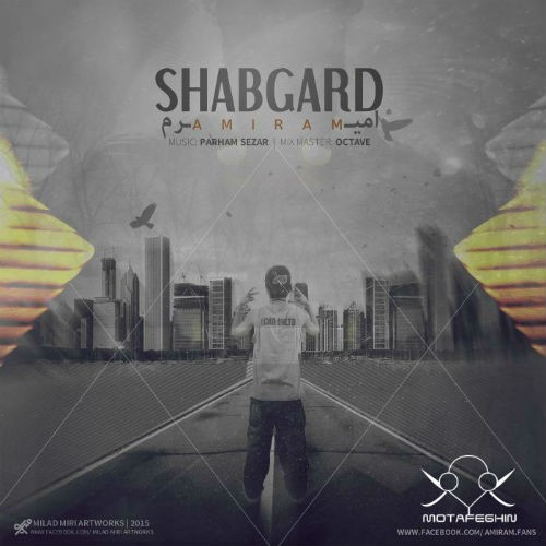 آهنگ جدید امیرم به نام شبگرد
