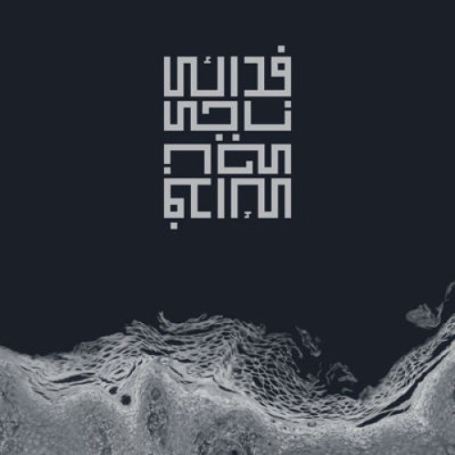 آهنگ جدید اشکان فدائی به نام ناجی