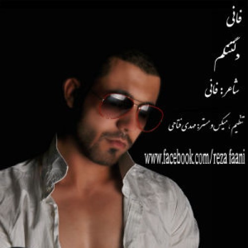 آهنگ جدید فانی به نام دلتنگم