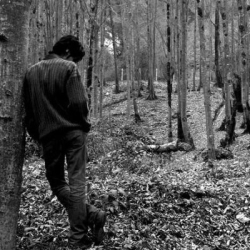 آهنگ جدید گرگ زرد به نام آرومو ریلکس