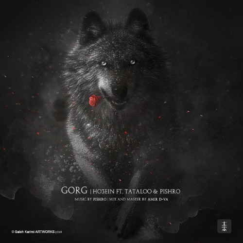 آهنگ گرگ از حصین ، پیشرو و تتلو