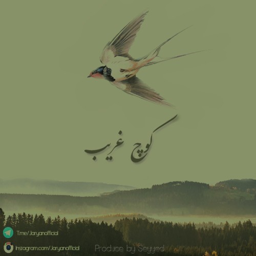 آلبوم کوتاه کوچ غریب از تشکل جریان آلبوم کوتاه کوچ غریب از تشکل جریان