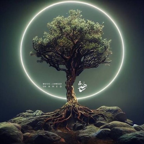 آهنگ شاهد از جاوید