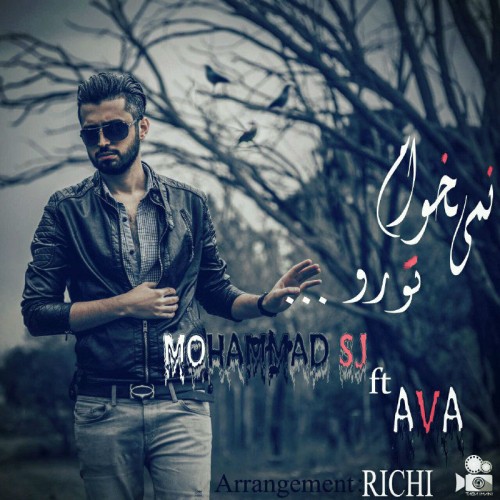 آهنگ نمیخوام تورو از محمد اس جی و آوا آهنگ نمیخوام تورو از محمد اس جی و آوا