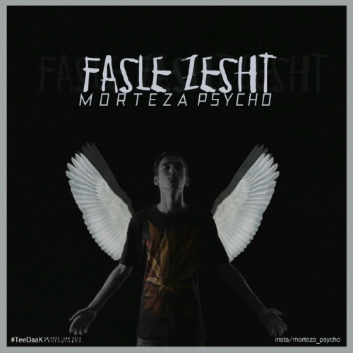 آهنگ فصل زشت از مرتضی سایکو