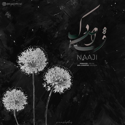 آهنگ قاصدک از ناجی