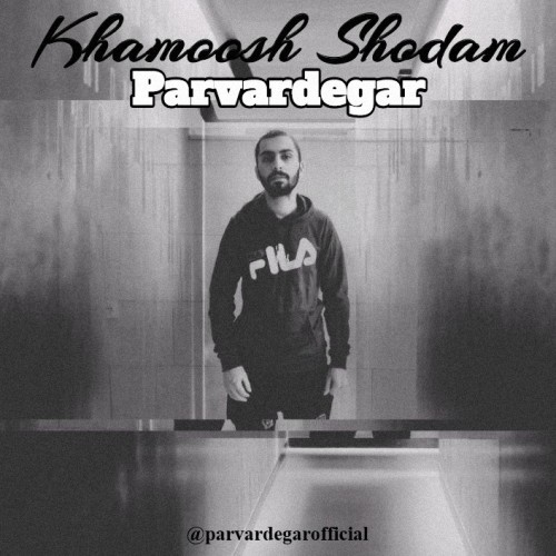 آهنگ خاموش شدم از Parvardegar