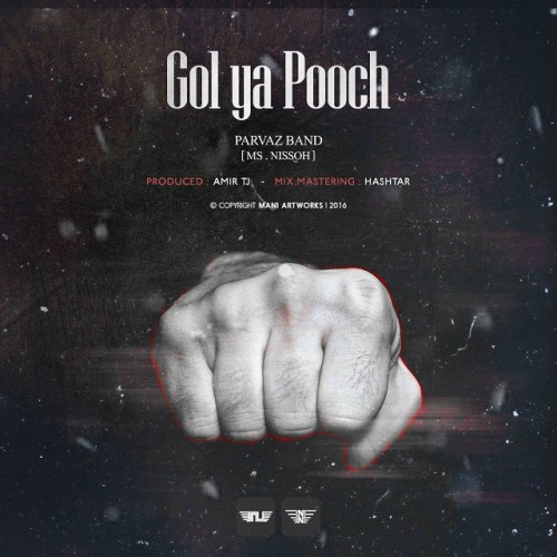 آهنگ گل یا پوچ از پرواز باند