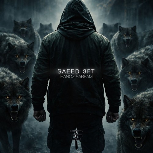 آهنگ هنوز سرپام از سعید تری اف تی