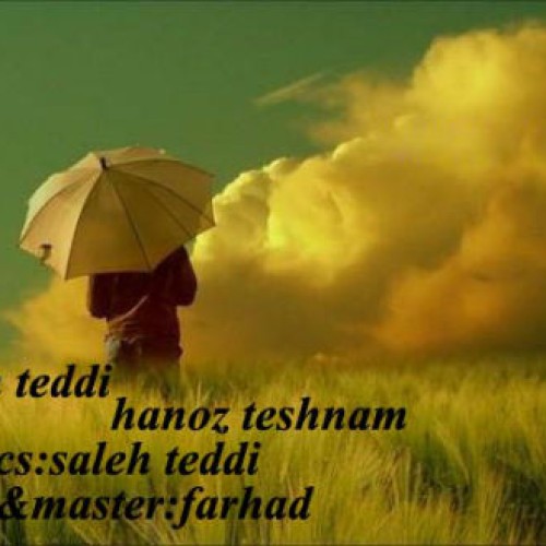 آهنگ جدید از صالح تدی به نام هنوز تشنم