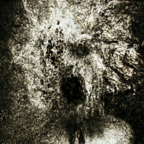 آهنگ جدید علی انفراد به نام رها