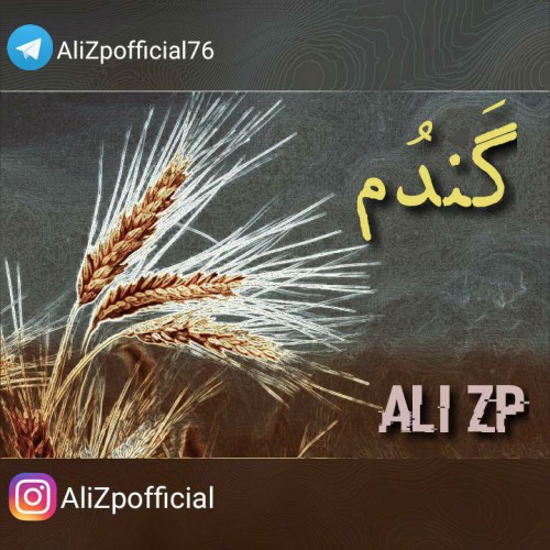 آهنگ گَندُم از علی زد پی آهنگ گَندُم از علی زد پی