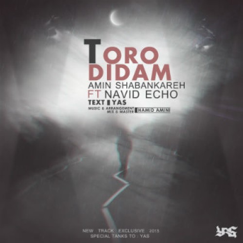 آهنگ جدید امین شبانکاره به نام تورو دیدم